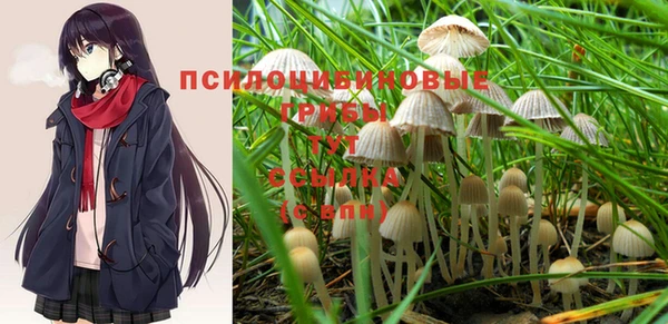 твердый Белокуриха