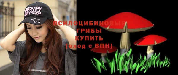 твердый Белокуриха