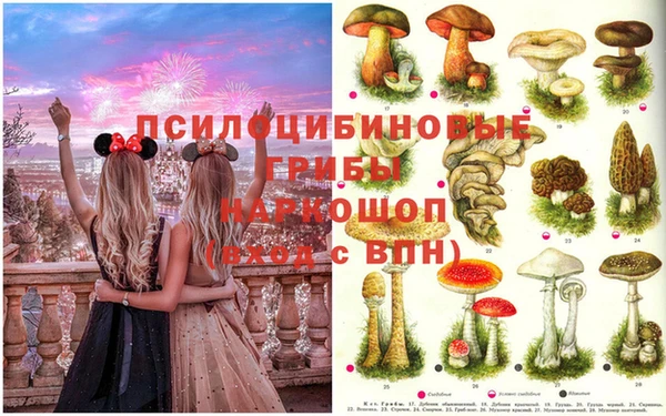 spice Белоозёрский